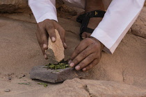 Jordan, Wadi Rum Protected Area, A Bedouin man crushes the twigs of desert species of saltwort, Seidlitzia rosmarinus, to make a traditional soap in the Wadi Rum Protected Area, a UNESCO World Heritag...