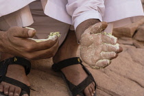 Jordan, Wadi Rum Protected Area, A Bedouin man crushes the twigs of desert species of saltwort, Seidlitzia rosmarinus, to make a traditional soap in the Wadi Rum Protected Area, a UNESCO World Heritag...