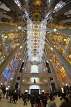 Spain, Catalonia, Barcelona, Interior of the Sagrada Familia designed by Antoni Gaudi ceiling deatil with columns.