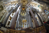 Spain, Catalonia, Barcelona, Interior of the Sagrada Familia designed by Antoni Gaudi, Apse, Altar, Baldachin canopy.