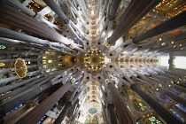 Spain, Catalonia, Barcelona, Interior of the Sagrada Familia designed by Antoni Gaudi, Mathew, Mark, Luke, John columns, Temple ceiling with kaleidoscopic effect.
