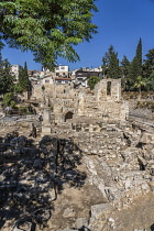 Israel, Jerusalem, Ruins of a Byzantine church and Crusader church in the ruins of the Pools of Bethesda next to the Church of Saint Anne in the Muslim Quarter of the Old City. The Old City of Jerusal...