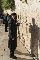 Israel, Jerusalem, Western Wall, Jewish men worship at the Western Wall of the Temple Mount in the Jewish Quarter of the Old City of Jerusalem. The Old City and its Walls is a UNESCO World Heritage Si...