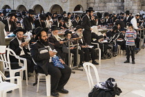 Israel, Jerusalem, Western Wall, A group of mostly Haredic Jewish men and boys study the scriptures at the Western Wall of the Temple Mount in the Jewish Quarter of the Old City. Haredism is a type of...