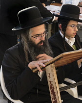 Israel, Jerusalem, Western Wall, Haredic Jewish men study the scriptures at the Western Wall of the Temple Mount in the Jewish Quarter of the Old City. The Old City of Jerusalem and its Walls is a UNE...