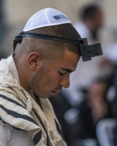 Israel, Jerusalem, Western Wall, A young Jewish man worships at the Western Wall of the Temple Mount in the Jewish Quarter of the Old City. The Old City of Jerusalem and its Walls is a UNESCO World He...