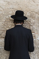 Israel, Jerusalem, Western Wall, A Haredic Jewish man prays at the Western Wall of the Temple Mount in the Jewish Quarter of the Old City. The Old City of Jerusalem and its Walls is a UNESCO World Her...