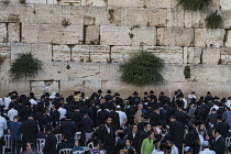 Israel, Jerusalem, Western Wall, Jewish men worship at the Western Wall of the Temple Mount in the Jewish Quarter of the Old City. The Old City of Jerusalem and its Walls is a UNESCO World Heritage Si...