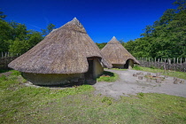 Ireland, County Clare, Quin, Craggaunowen, The Living Past Experience, Reconstruction of a crannog with thatched huts in the settlement area.