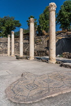 Israel, Bet She'an, Bet She'an National Park, A mosaic tile floor in the ruins of the city of Scythopolis, a Roman city in northern Israel. During the Roman era, it was one of the most important of th...