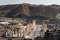 Israel, Bet She'an, Bet She'an National Park, The ruins of the Roman cardo or main street, Palladius Street, in the ruins of the city of Scythopolis, a Roman city in northern Israel. In the background...