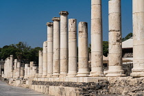 Israel, Bet She'an, Bet She'an National Park, Stone pillars in the ruins of the city of Scythopolis, a Roman city in northern Israel. During the Roman era, it was one of the most important of the Deca...