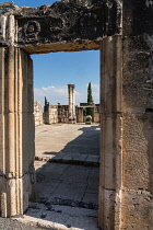 Israel, Capernaum, Carved limestone pillar in the ruins of the atrium of the 4th Century White Synagogue of Caperanaum in Galilee. At right iThis large synagogue was built in over the ruins of the syn...