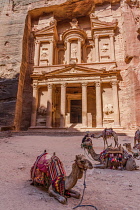 Jordan, Petra, Camels in front of Al Khazneh or the Treasury in the Nabataean city of Petra in the Petra Archeological Park is a Jordanian National Park and a UNESCO World Heritage Site.