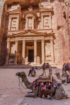 Jordan, Petra, Camels in front of Al Khazneh or the Treasury in the Nabataean city of Petra in the Petra Archeological Park is a Jordanian National Park and a UNESCO World Heritage Site.