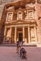 Jordan, Petra, Camels in front of Al Khazneh or the Treasury in the Nabataean city of Petra in the Petra Archeological Park is a Jordanian National Park and a UNESCO World Heritage Site.