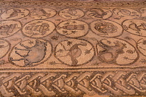 Jordan, Petra, Mosaic tile floors in the Main Church, a Byzantine church in the ruins of the Nabataean city of Petra in the Petra Archeological Park is a Jordanian National Park and a UNESCO World Her...