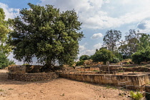 Israel, The site of the altar of the golden calves in the ruins of the Old Testament city of Dan in the Tel Dan Nature Reserve in Galilee in northern Israel.