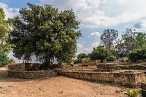 Israel, The site of the altar of the golden calves in the ruins of the Old Testament city of Dan in the Tel Dan Nature Reserve in Galilee in northern Israel.