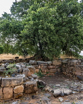 Israel, Ruins of the Old Testament city of Dan in the Tel Dan Nature Reserve in Galilee in northern Israel.