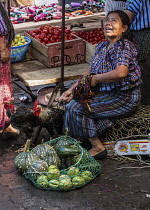 Guatemala, Solola Department, Santiago Atitlan, A Mayan woman wearing traditional dress sits with her chickens and produce for sale in the weekly open market.