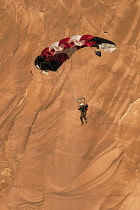 USA, Utah, Moab, A basejumper descends in his parachute off the 400 foot vertical face of the Tombstone in Kane Springs Canyon.
