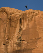 USA, Utah, Moab, A basejumper leaps off the top of the 400 foot vertical face of the Tombstone in Kane Springs Canyon.