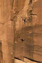 USA, Utah, Moab, A base jumper leaps off the 400 foot vertical face of the Tombstone in Kane Springs Canyon. He has deployed his pilot chute. Note his shadow on the cliff.