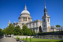 England, London, View of St Paul's Cathedral from Festival Gardens.