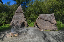 Republic of Ireland, County Wexford, Ferrycarrig, Irish National Heritage Park, Middle Stone Age or Mesolithic Camp Site.