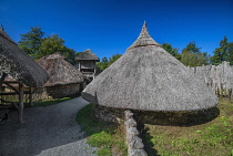 Republic of Ireland, County Wexford, Ferrycarrig, Irish National Heritage Park, Ring Fort, General view from the interior.