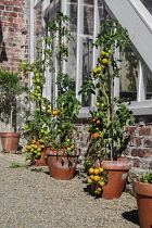 Republic of Ireland, County Wexford, Colclough Walled Garden near Tintern Abbey.