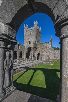 Republic of Ireland, County Kilkenny, Jerpoint Abbey, Ruins of 12th century Cistercian Abbey.