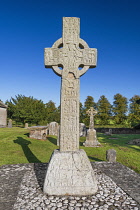 Republic of Ireland, County Kildare, Castledermot, Dermots Hermitage or Diseart Diarmada, the South Cross.