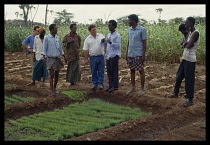 Somalia, Bula Hawa, Local farmers and teacher discussing farming practice in project to restart agriculture near Mandera.