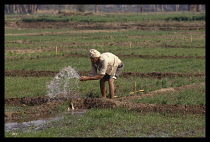 Egypt, Nile Valley, Man irrigating fields.