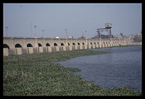 Egypt, Near Cairo, Nile Barrage at Qanatar choked with Wadr-el-nil, water Hyacinth.