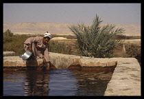 Egypt, Western Desert, Near Farafra Oasis, Man with bowl dipping his hand in to the water of a Hot spring in the desert.