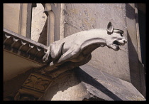 France, Normandy, Seine-Maritime, Jumieges Abbey exterior, detail of gargoyle.