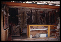 China, Gansu, Linxia, Leopard skins hanging on a market stall selling carpets.