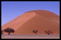 Namibia, Namib Desert, Styar sand sune against blue sky.