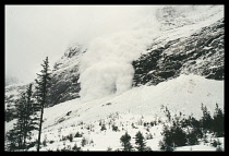 France, Alps, Trois Vallees, Avalanche  Snow crashing down mountainside towards trees.