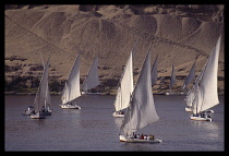 Egypt, Aswan, Feluccas on River Nile.