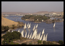 Egypt, Aswan, Feluccas on River Nile.