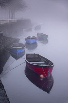 Ireland, County Sligo, Sligo town, Doorly Park, Boats on the River Garavogue on a foggy winter's morning.