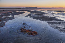 Ireland, County Sligo, Knocknarea Mountain seen from Lissadell Beach.