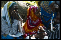 Somalia, Habare Village, Girls attending school held outside beneath tree.