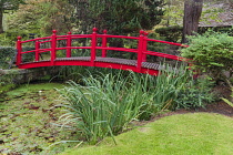 Ireland, County Kildare, Kildare town, Irish National Stud and Gardens, The Japanese Gardens, The Bridge of Life.