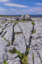 Ireland, County Clare, The Burren, Clint blocks of limestone and gryke or grike fissures leading to a rock boulder split in two by erosion.