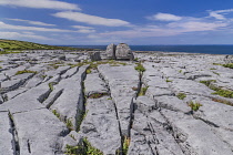 Ireland, County Clare, The Burren, Clint blocks of limestone and gryke or grike fissures leading to a rock boulder split in two by erosion.